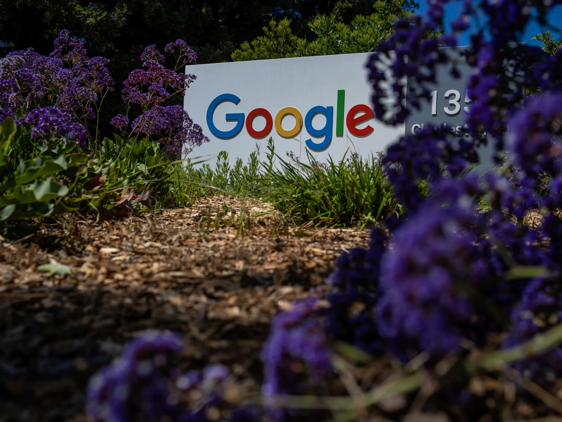 Conservative activist sues Google over AI-generated statements | Technology News