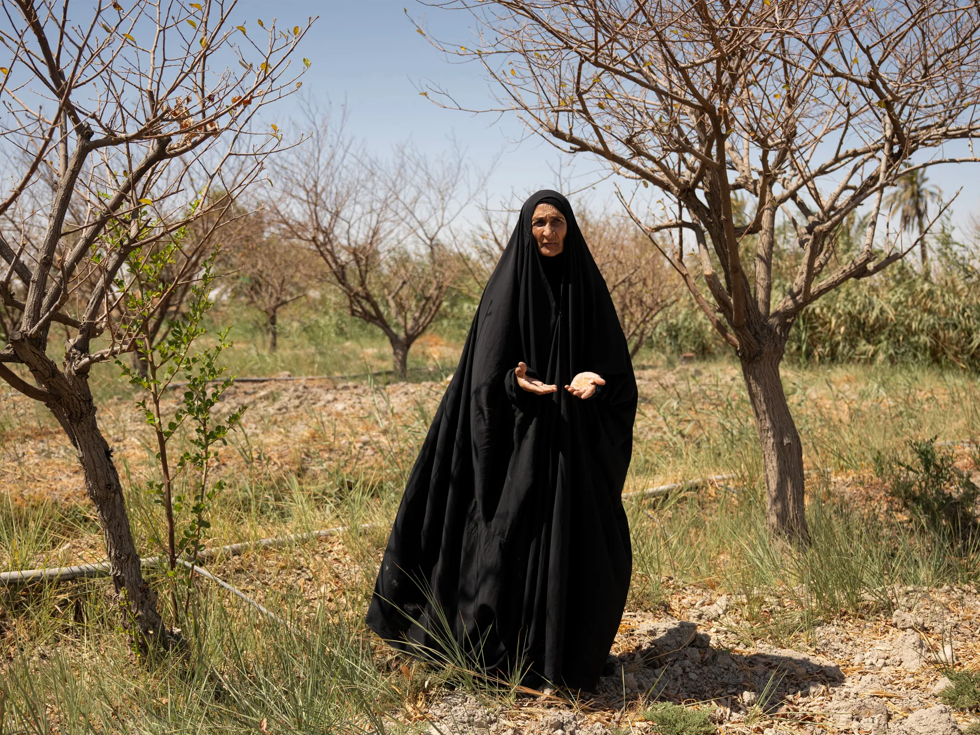 Water salinity hurting farmers, livestock in Iraq | Water News