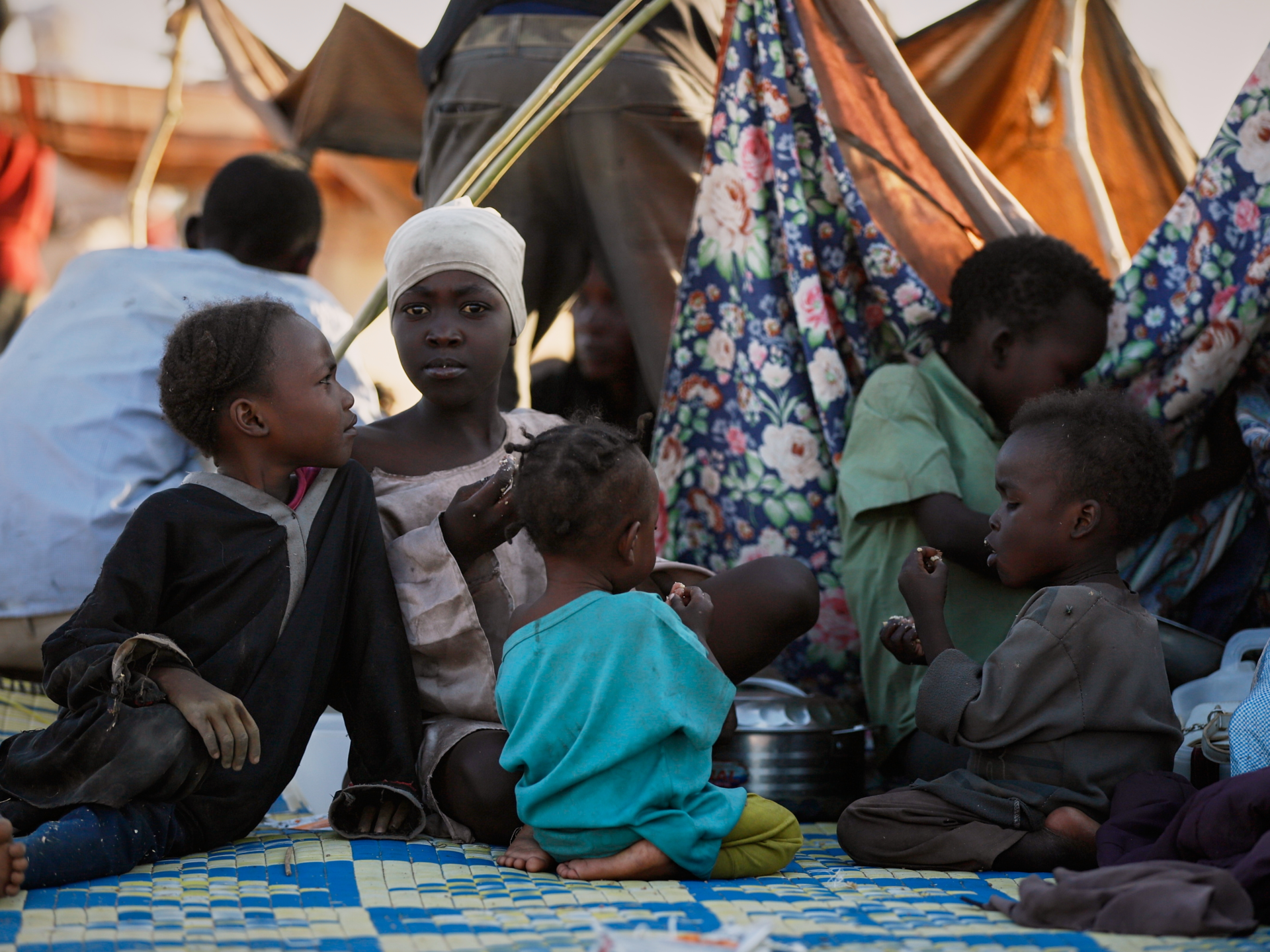 UN rights council orders probe of ‘appalling’ abuses in Sudan’s el-Fasher | Human Rights News