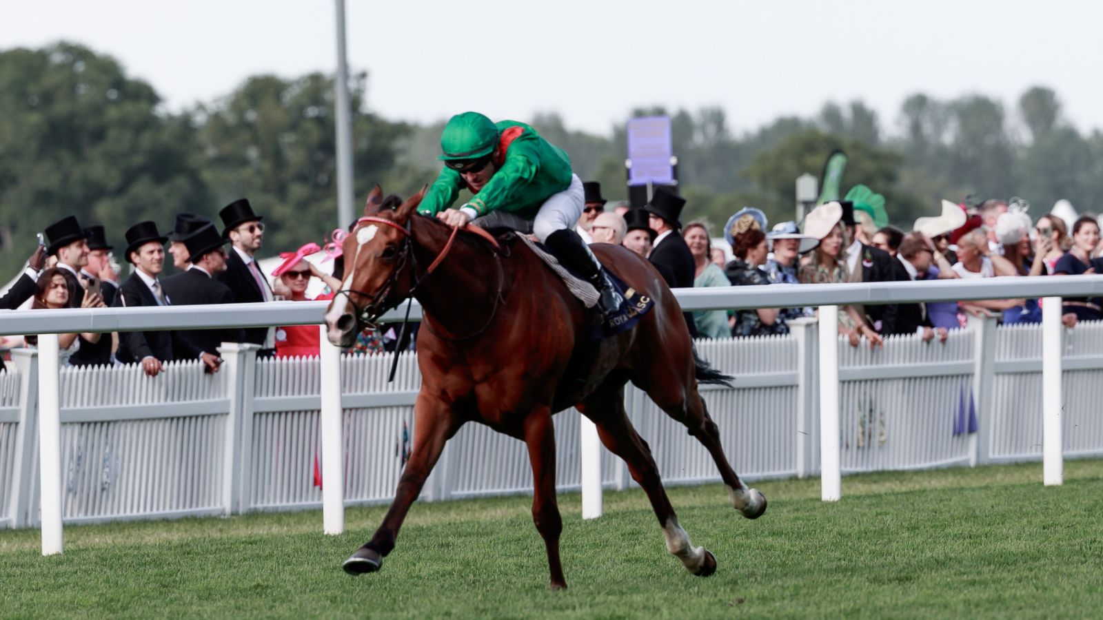 Cartier Racing Awards: Calandagan crowned Horse of the Year and Older Horse as Trawlerman named top Stayer | Racing News