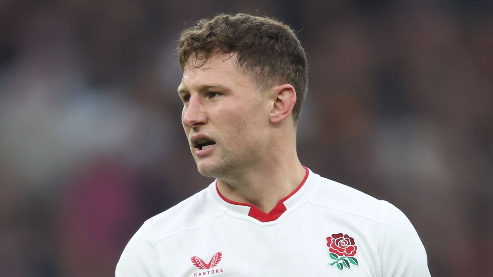 England vs Argentina: Fraser Dingwall injured and out of Los Pumas Test with Max Ojomoh replacing him | Rugby Union News