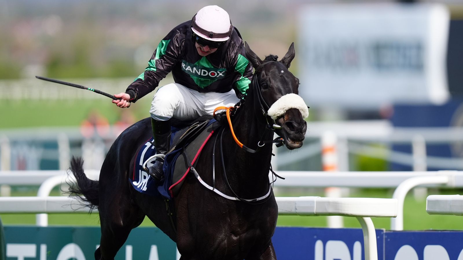 Today on Sky Sports Racing: Strong Leader faces tough defence of Long Distance Hurdle crown at Newbury | Racing News