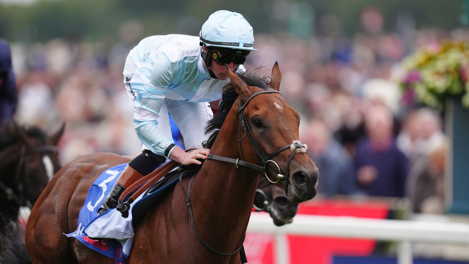 Today on Sky Sports Racing: Pride Of Arras and Royal Champion go for glory in Bahrain | Racing News