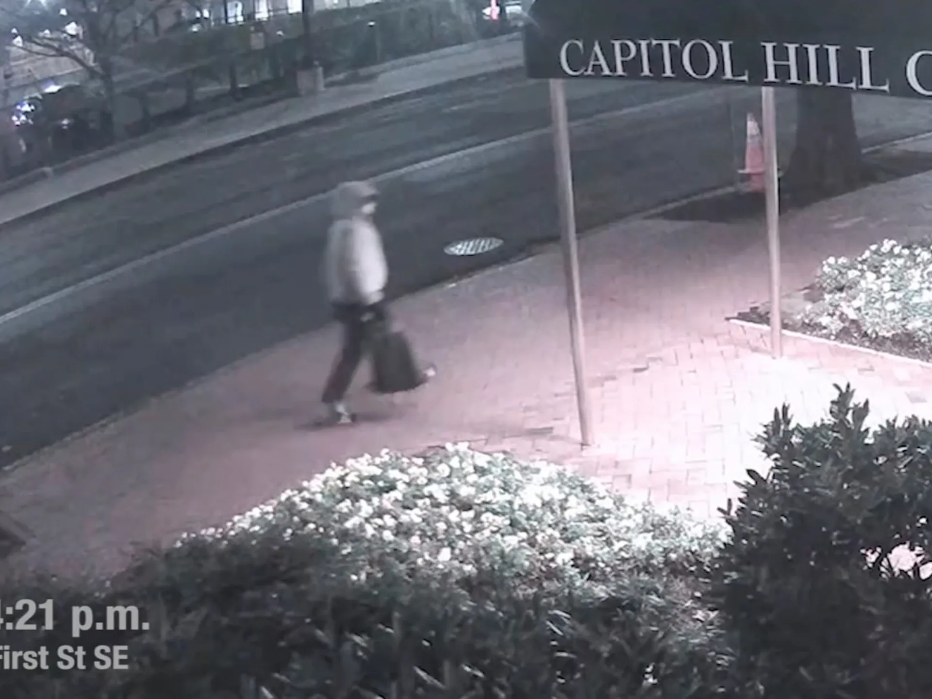 Who is Brian Cole, arrested for planting pipe bombs in Washington in 2021? | Crime News