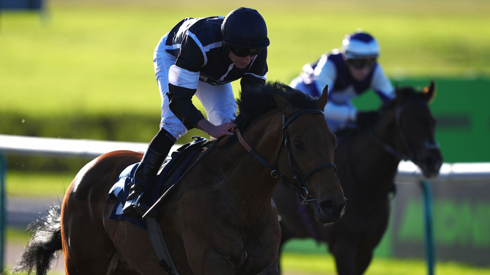Ryan Moore back among the winners on return to riding at Lingfield Park | Racing News
