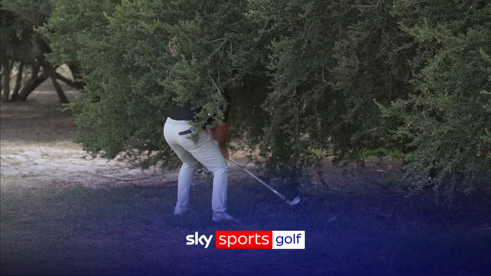 'Nowhere near making contact!' | Rory misses ball in a bush!