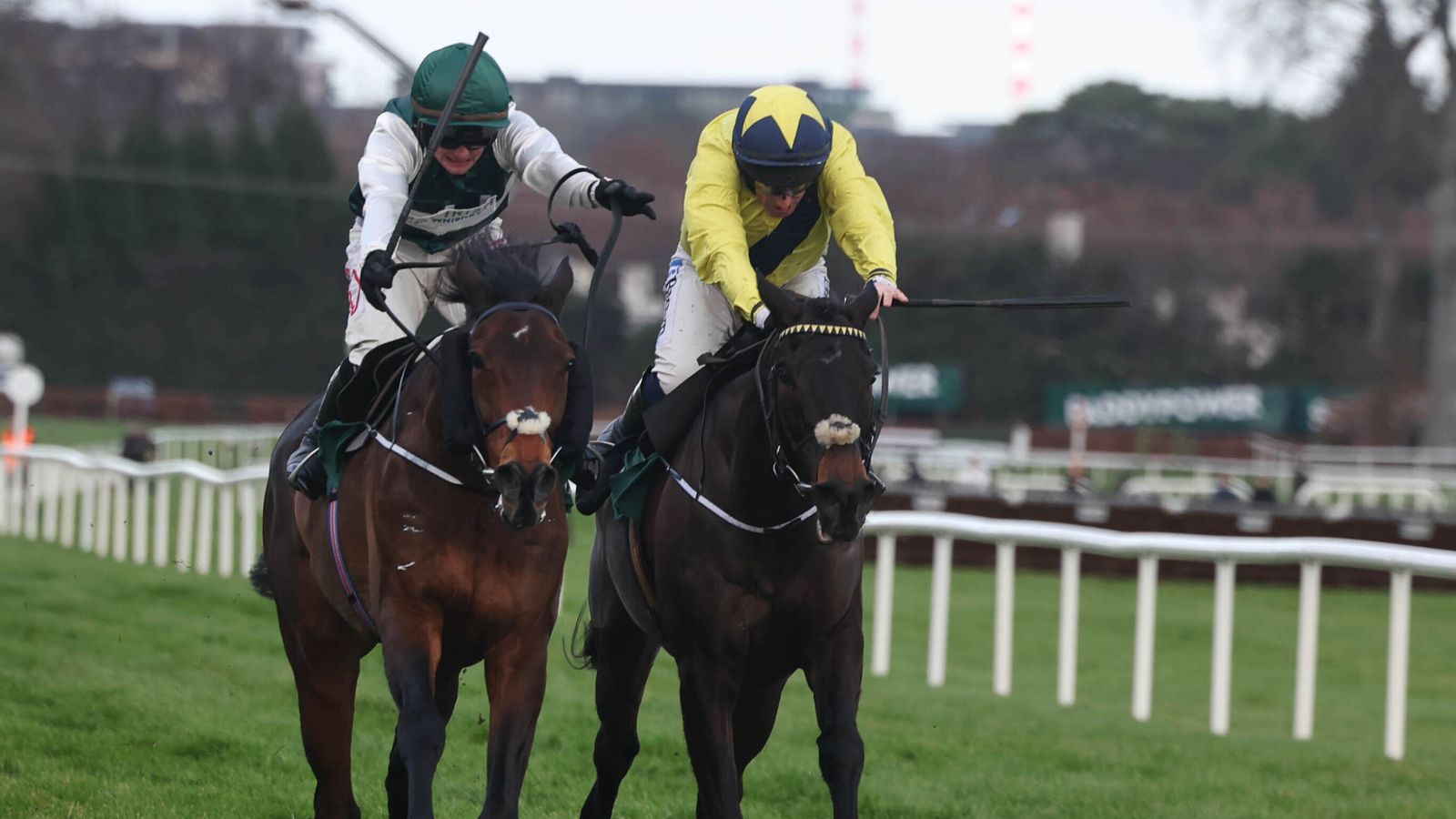 Solness denies Marine Nationale in Leopardstown thriller | Racing News