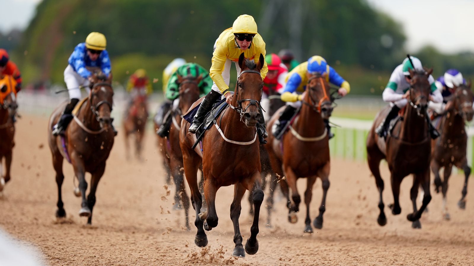 Today on Sky Sports Racing: Newcastle and Southwell | Racing News