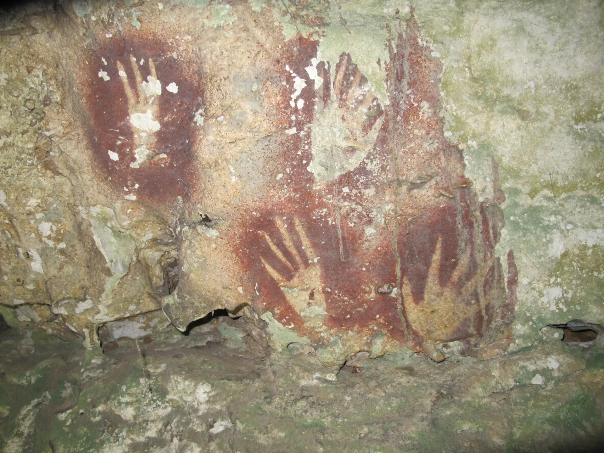 World’s oldest cave art discovered in Indonesia’s Muna island | Arts and Culture News