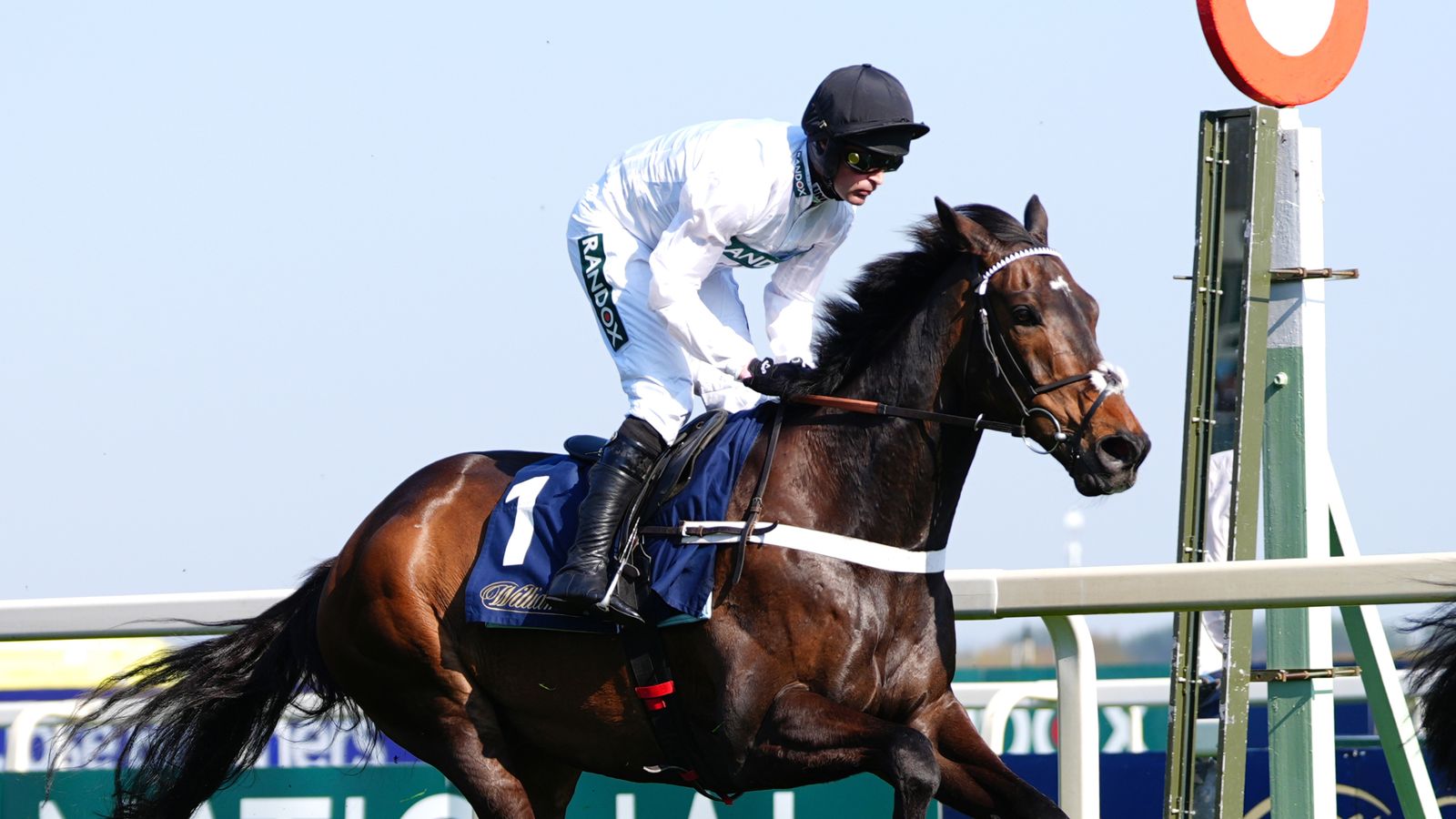 Constitution Hill: Nicky Henderson’s star could have Cheltenham Festival prep on the flat at Southwell in February | Racing News