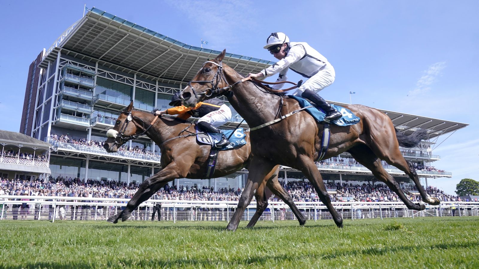 Today on Sky Sports Racing: Marshman and Diligent Harry lock horns again in the Kachy Stakes | Racing News