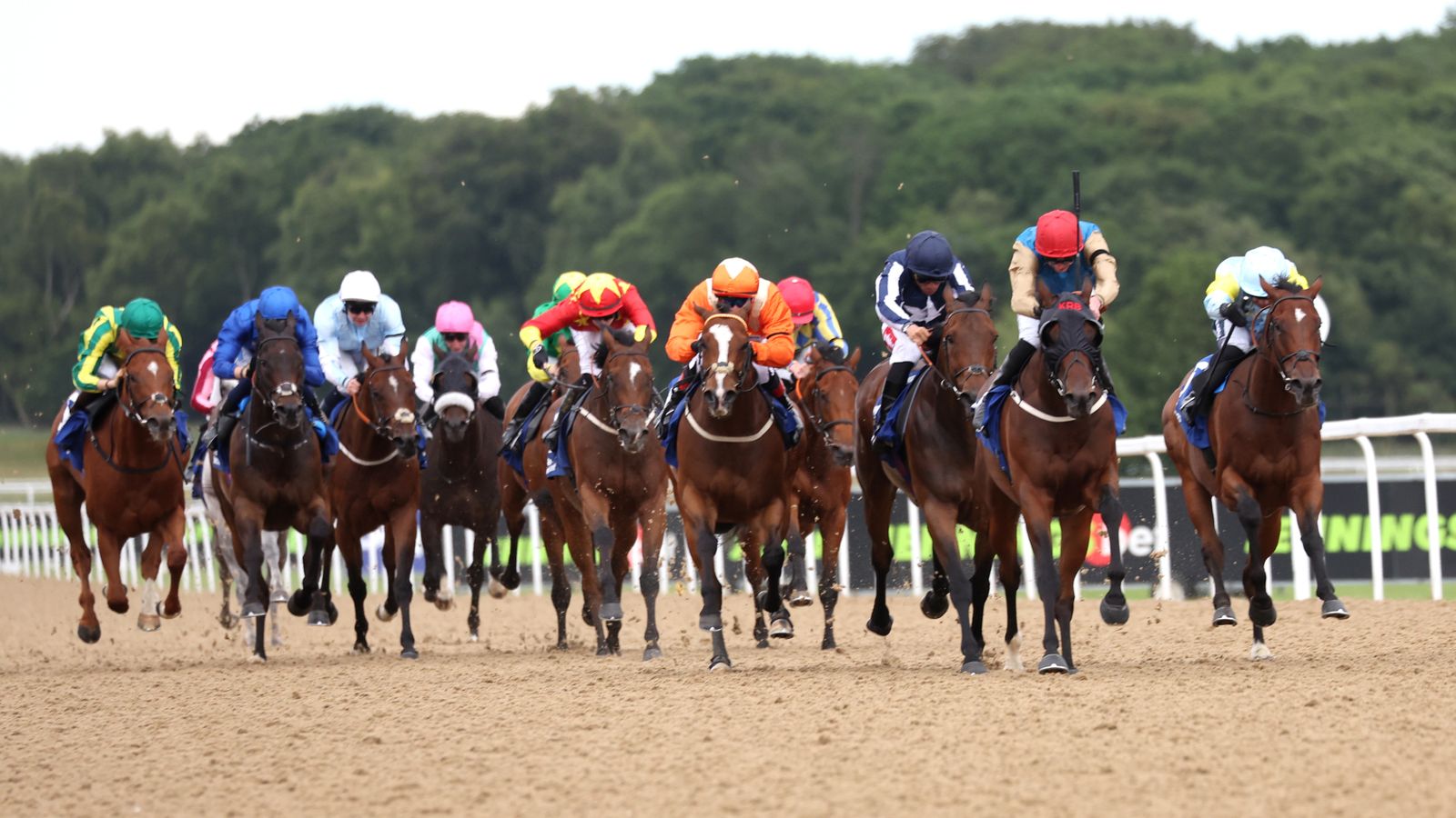 Today on Sky Sports Racing: Aisling Oscar chases six-timer at Newcastle | Racing News