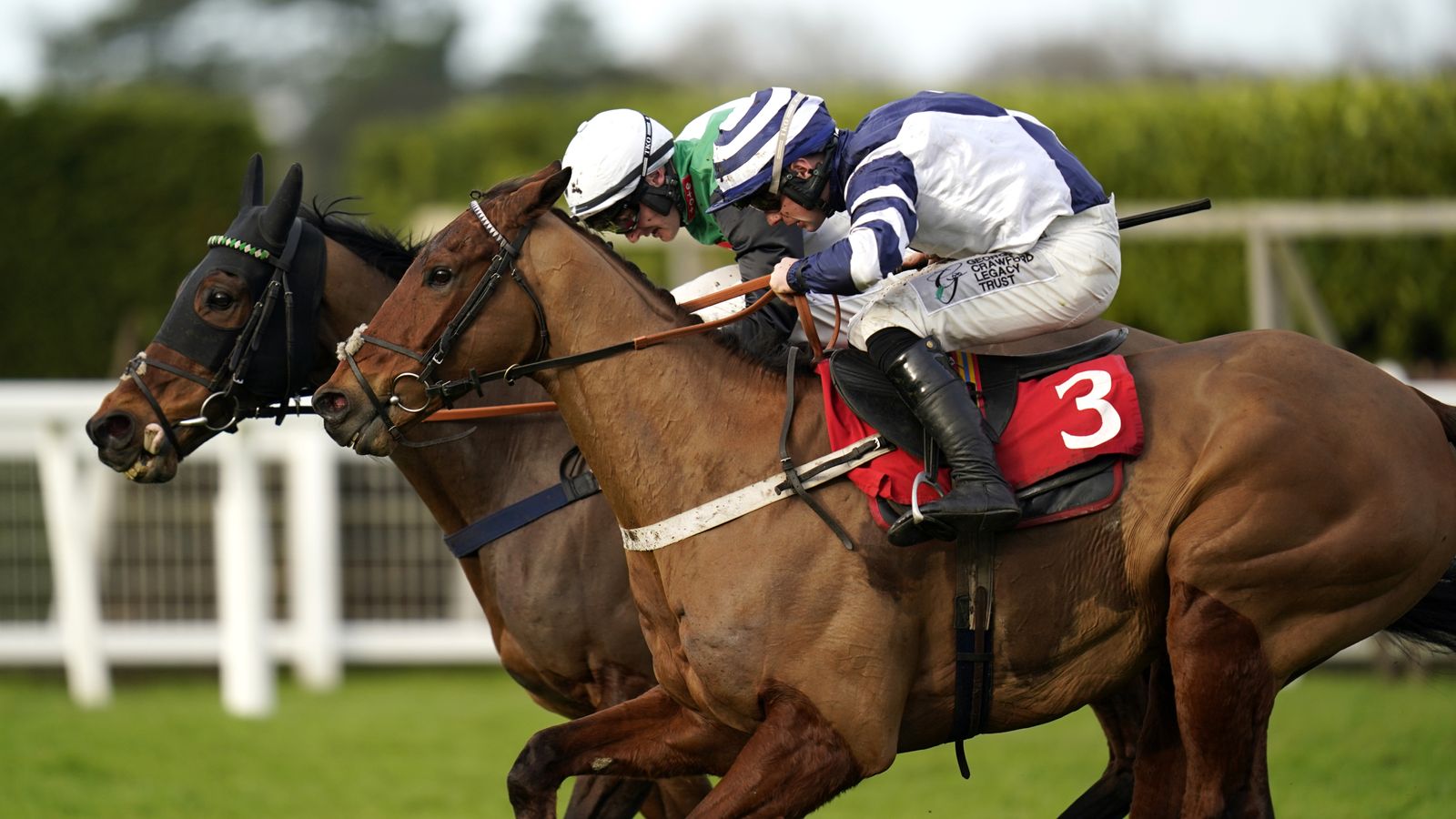 Ascot tips: Vincenzo fancied to scoop Handicap prize on Saturday | Racing News